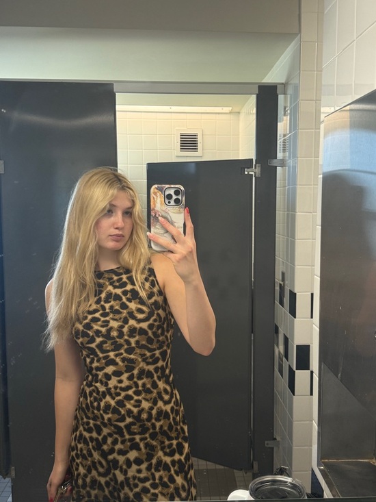 Princess Polly Dresses & Skirts - Princess Polly Leopard Print Mini Dress in Brown and Black